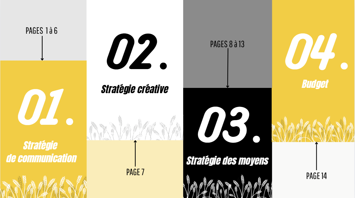 Capture d'écran 2024-11-10 142436