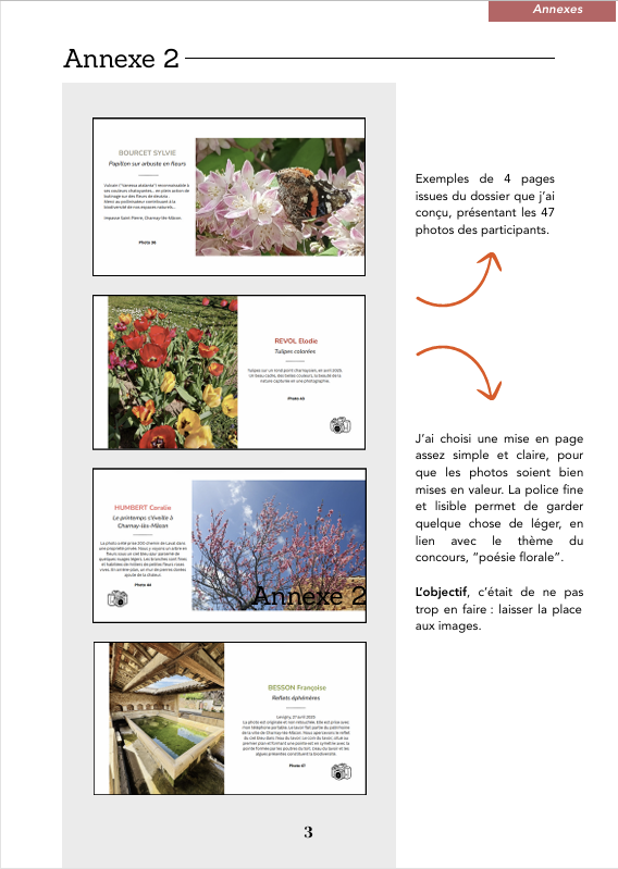 Capture d'écran 2026-02-22 190506